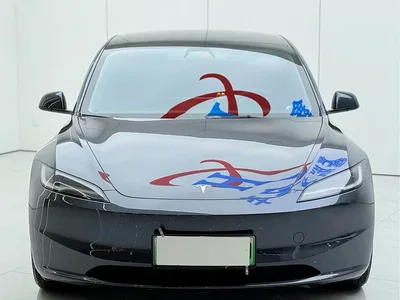2025 Tesla Model 3 Model Rear-Wheel Drive Edition, фото 3, лот 11216220