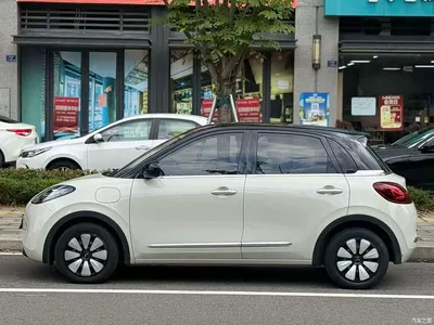 2025 Wuling Motors Wuling Bingo Model 333km Smart Connect, фото 2, лот 10367967