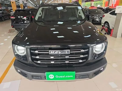 2022 Haval Big Dog 1.5T DCT FWD Border Collie Edition, фото 3, лот 10476301