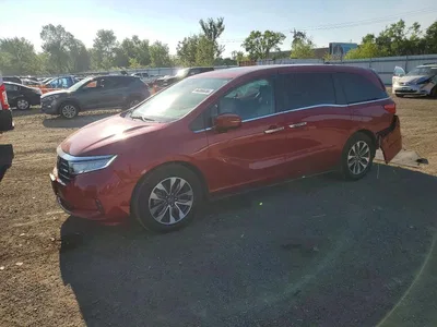 2021 HONDA ODYSSEY EXL, фото 1, лот 10671658
