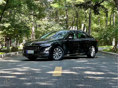 2023 Hongqi E-QM5 560km PLUS, фото 1, лот 11219908