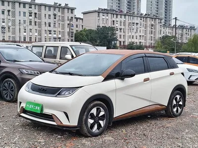 2025 BYD Dolphin 420km Freedom Edition, фото 1, лот 11449122