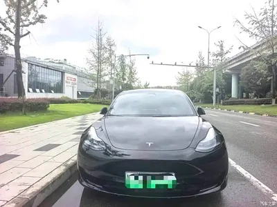 2023 Tesla Model 3 Rear-Wheel Drive, фото 2, лот 10816093