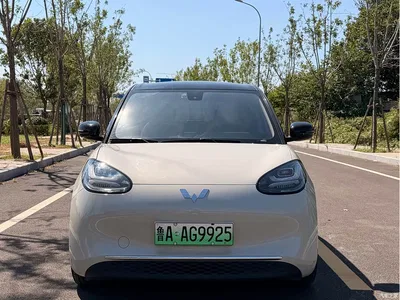 2024 Wuling Motors Wuling Bingo 333km Smart Connect Edition, фото 2, лот 10368022