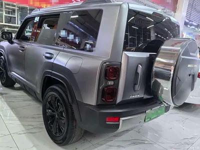 2024 Haval Meng Long NEV Hi4 145 Pro, фото 4, лот 11191702
