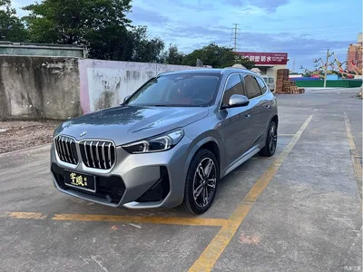 2023 BMW X1 sDrive25Li M Sport Package, фото 1, лот 10424129