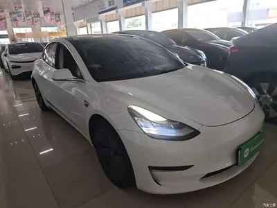 2019 Tesla Model 3 (Import) Long Range All-Wheel Drive Edition, фото 4, лот 10369957