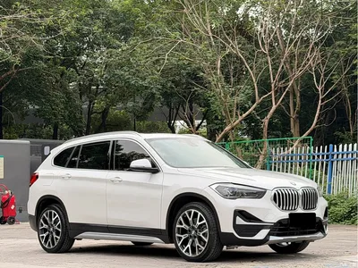 2020 BMW X1 xDrive25Li Premium Edition, фото 3, лот 10481886