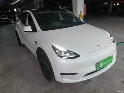 2023 Tesla Model Y Rear-Wheel Drive Edition, фото 4, лот 10440975
