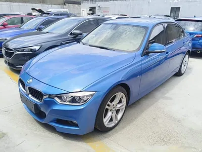 2017 BMW 3 Series 320Li M Sport, фото 1, лот 10457423
