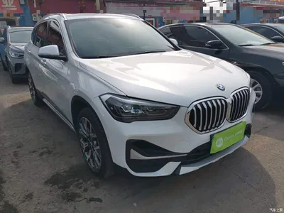 2020 BMW X1 xDrive25Li Premium Edition, фото 4, лот 10467833