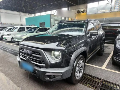 2024 Haval Big Dog 2.0T DCT Chinese Rural Dog Edition, фото 2, лот 11519075