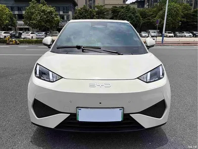 2025 BYD Seagull Smart Drive Edition 305km Freedom Version, фото 2, лот 10246510