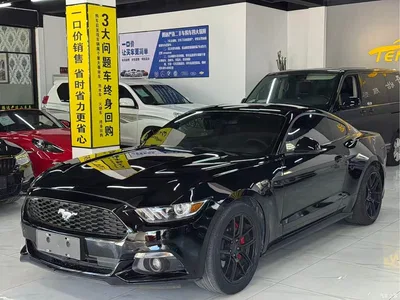 2015 Ford Mustang 2.3T Performance Edition, фото 1, лот 11412461