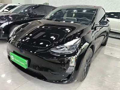 2023 Tesla Model Y Rear-Wheel Drive Edition, фото 1, лот 11177855