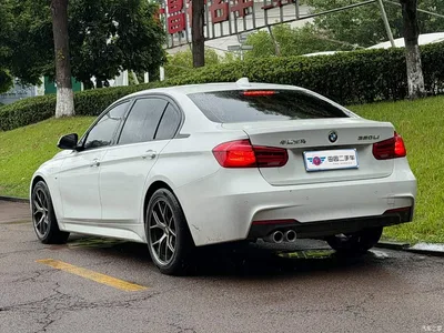 2019 BMW 3 Series 320Li M Luxury Package, фото 4, лот 10481930