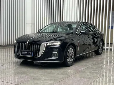 2024 Hongqi H5 1.5T DCT Smart Connect Flag Joy Edition, фото 1, лот 10361103