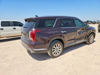 2024 HYUNDAI PALISADE SEL, фото 3, лот 10741664