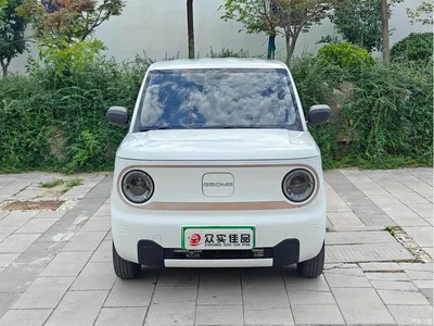2023 Geely Galaxy Panda Mini 200km Endurance Bear, фото 2, лот 10429358