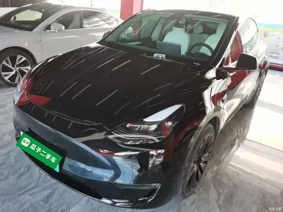 2021 Tesla Model Y Standard Range Rear-Wheel Drive, фото 2, лот 10374206