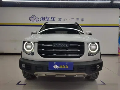 2022 Haval Big Dog 1.5T DCT FWD Border Collie Edition, фото 2, лот 10414818