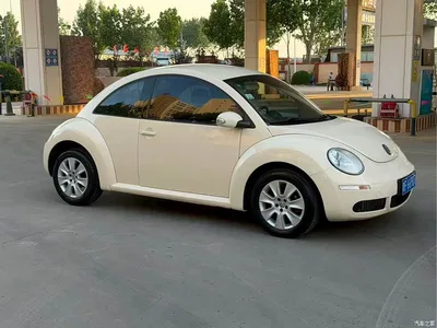 2010 Volkswagen Beetle Model 1.6 AT, фото 1, лот 10473908