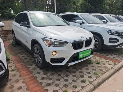 2016 BMW X1 xDrive20Li Luxury Model, фото 4, лот 10467801