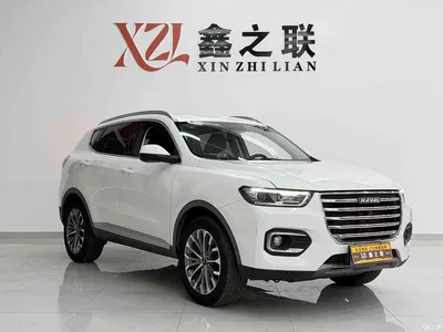 2020 Haval H6 1.5GDIT Automatic Platinum Champion Edition, фото 2, лот 10605147