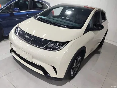 2021 BYD Dolphin Model 405km Fashion Edition, фото 2, лот 11584829