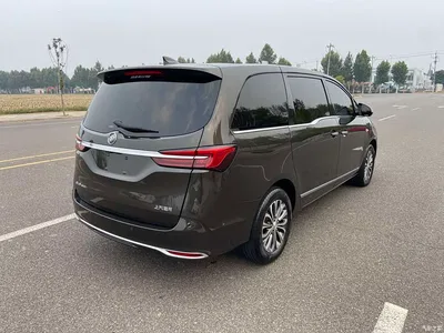 2021 Buick GL8 Land Business Class 652T Premium, фото 4, лот 11199960