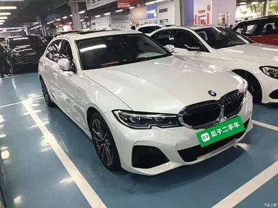 2021 BMW 3 Series Facelift 320Li M Sport Package, фото 4, лот 11210948