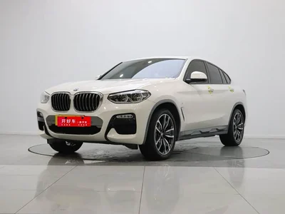 2019 BMW X4 xDrive25i M Off-Road Package, фото 1, лот 10408824