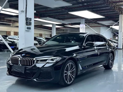 2023 BMW 5 Series 530Li Leading M Sport Package, фото 1, лот 11530713