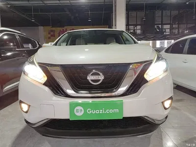 2019 Nissan Murano 2.5L XE 2WD Elite Edition (China VI), фото 3, лот 10366255