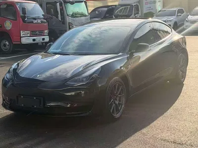 2022 Tesla Model 3 Model Rear-Wheel Drive Version, фото 1, лот 10336536