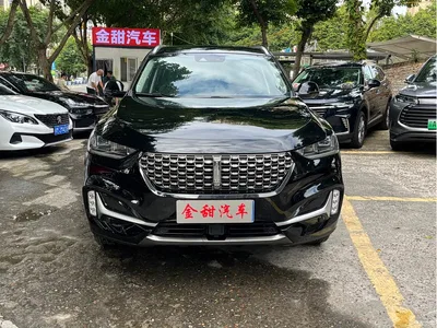 2021 WEY VV6 2.0T 2WD Smart Protection+, фото 2, лот 10451777