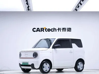 2024 Geely Galaxy Panda mini 200km Endurance Bear, фото 1, лот 11419999