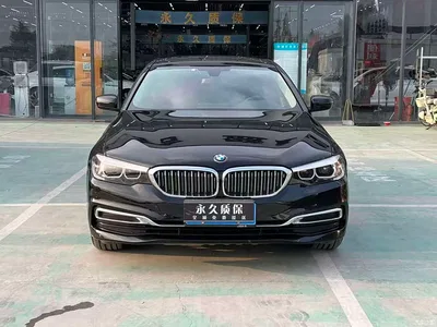 2019 BMW 5 Series Facelift 525Li Luxury Package, фото 2, лот 10955218
