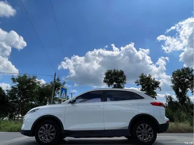 2020 Weltmeister EX5 400 Jike Travel Edition, фото 4, лот 10301562