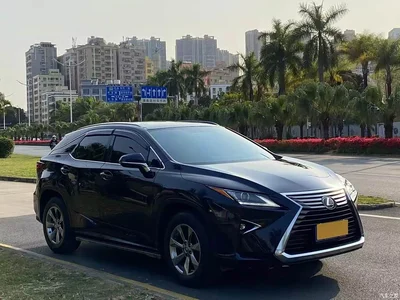 2016 Lexus RX 300 2WD Elite Edition (China V), фото 3, лот 10317302