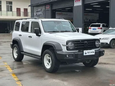 2021 Tank 300 Off-road Version 2.0T Conqueror, фото 3, лот 10345152