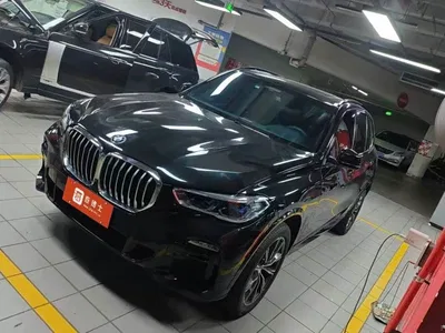 2019 BMW X5 (Import) xDrive40i M Sport Package, фото 1, лот 11548433