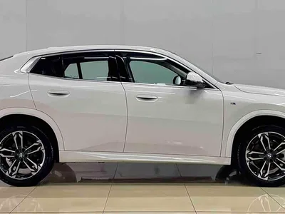2024 BMW X2 (Import) sDrive25i M Sport Package, фото 4, лот 10475580