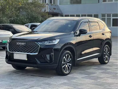 2024 Haval H6 1.5T 2WD Pro, фото 1, лот 10508183