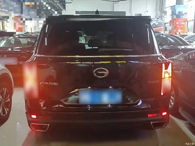 2024 GAC Trumpchi Trumpchi GS8 Navigator Series 2.0TGDI 2WD Luxury Smart Connect Edition, фото 4, лот 10422863