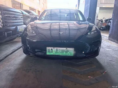 2022 Tesla Model 3 Model Rear-Wheel Drive Version, фото 1, лот 10357730