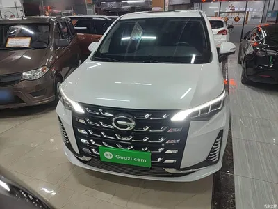 2021 GAC Trumpchi Trumpchi M6 PRO 270T Automatic Premium Edition, фото 3, лот 10389465