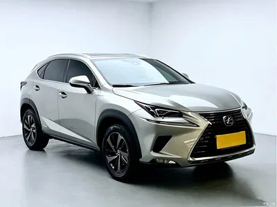 2020 Lexus NX 300h FWD F Sport China V, фото 3, лот 11074894