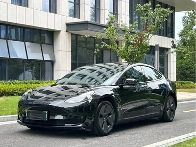 2021 Tesla Model 3 Standard Range Rear-Wheel Drive Upgrade 3D6, фото 1, лот 10434843