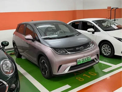 2021 BYD Dolphin Model 405km Fashion Edition, фото 3, лот 10254008